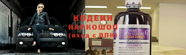 сатива Краснослободск