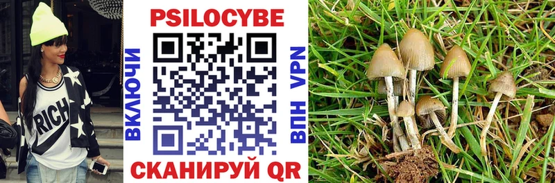 Псилоцибиновые грибы Psilocybe Котово